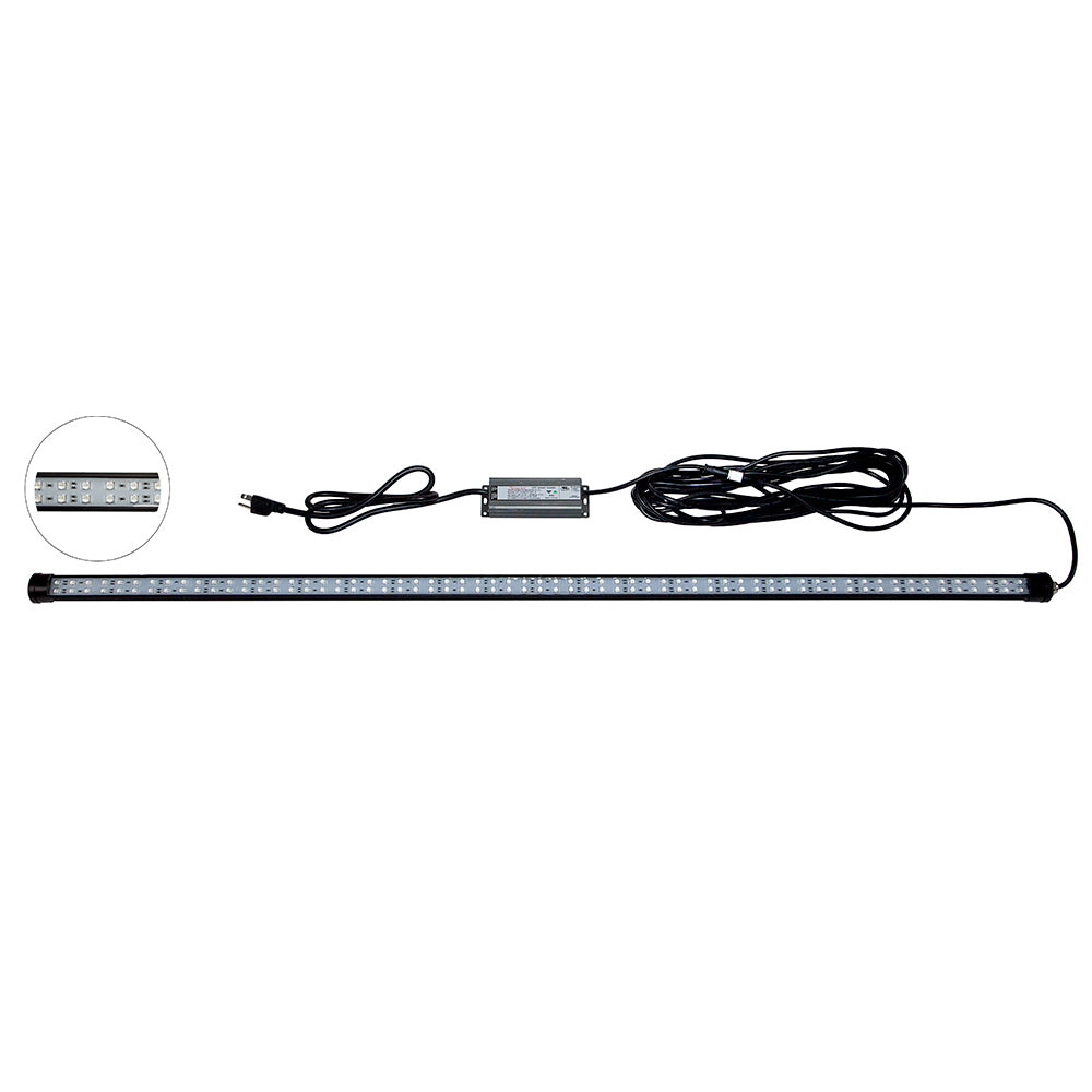 Hydro Glow DM260B 40W120VAC Dock Mounted Fishing Light  Blue DM260B